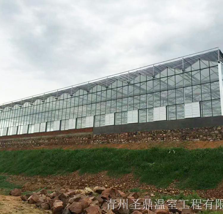 文络玻璃温室成本 河北文络玻璃温室设计