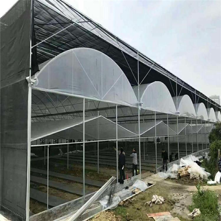益阳市连栋温室大棚-花卉大棚-蔬菜大棚 支持定制 批发花卉单体连体温室大棚