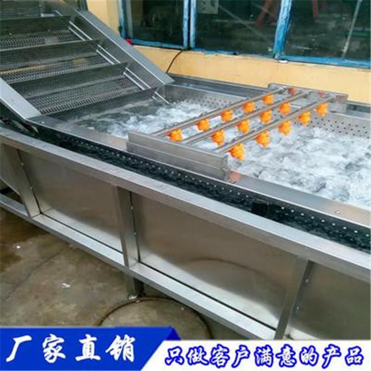 新品种荸荠清洗机-马蹄清洗设备-质量保证-可根据客户要求加工定制
