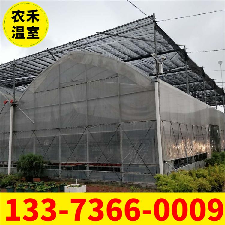 南京车厘子温室大棚  蔬菜大棚卷膜器  外遮阳薄膜连栋大棚骨架摇膜器 椭圆管日光温室