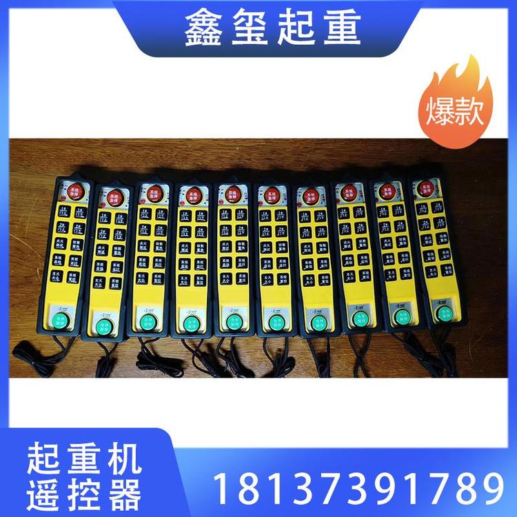 鑫玺起重  起重机遥控器  专业起重机遥控器批发  行车遥控器  工业遥控器  电动葫芦遥控器  禹鼎遥控器   可定制 厂家现货供应   起重配件厂家
