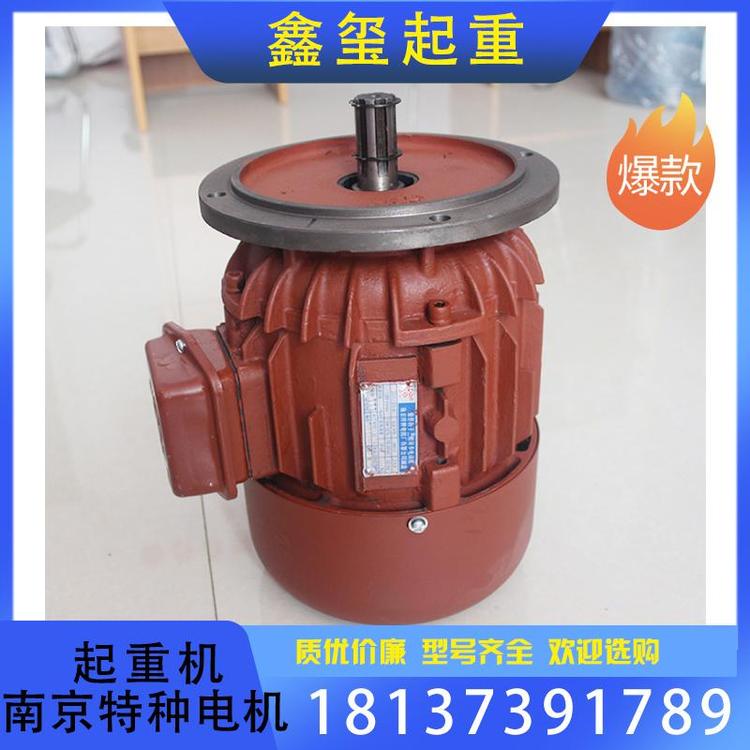 鑫玺起重 批发销售电动葫芦起重机南京特种电机厂家直销 起重机南京特种电机经销源头厂家
