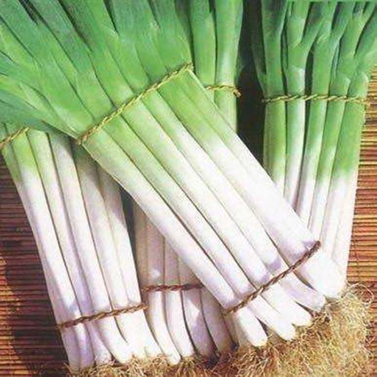 厂家生产兴化香葱加工清洗漂烫水线 大葱粉料理包加工清洗机