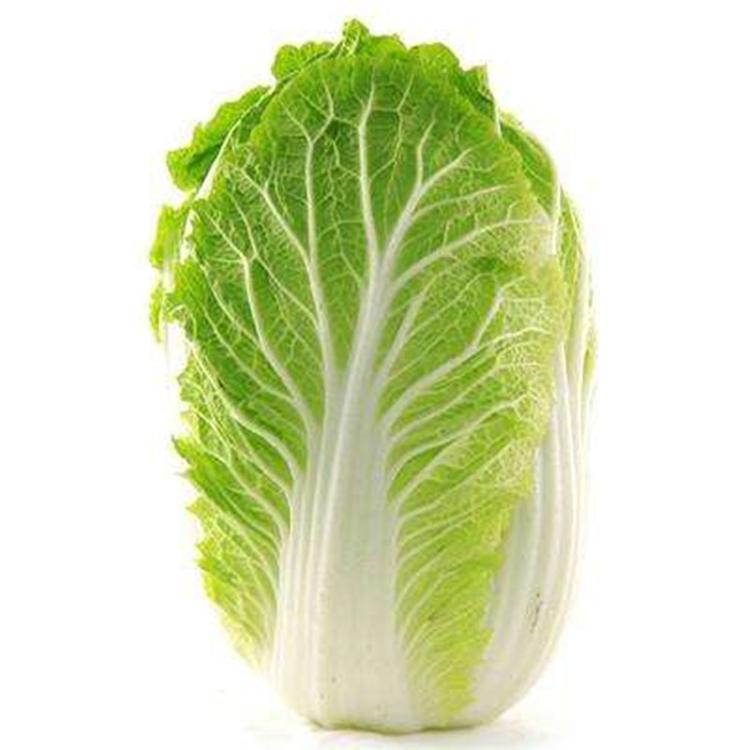 厂家直销白菜去农药气泡清洗机 东北酸白菜加工清洗流水线质量优