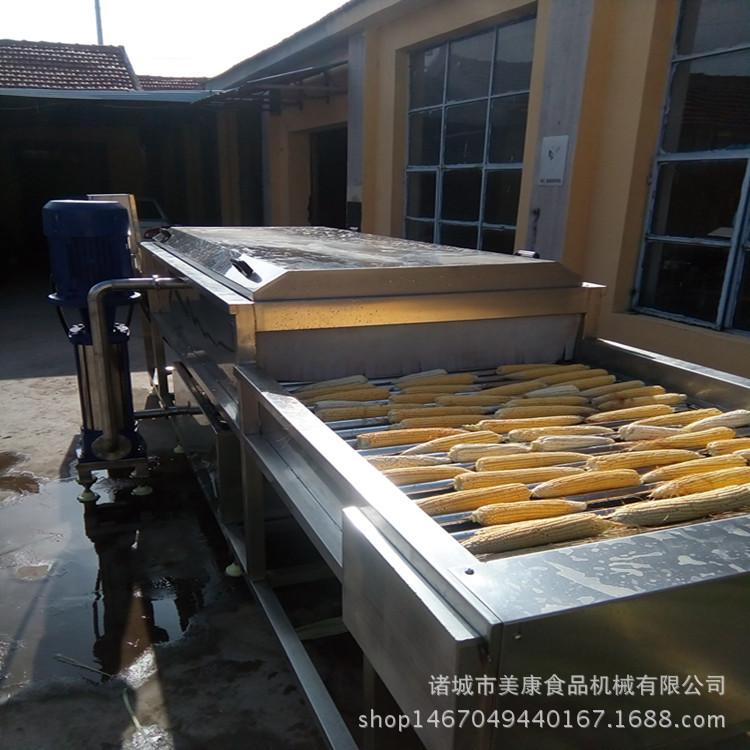 直销玉米清洗设备 优质不锈钢玉米去须机 规格根据客户要求定做