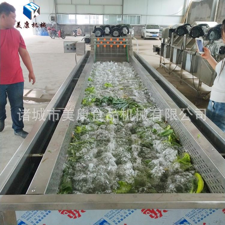 供应MK-4000全自动苹果清洗机 水果加工清洗设备便宜实惠