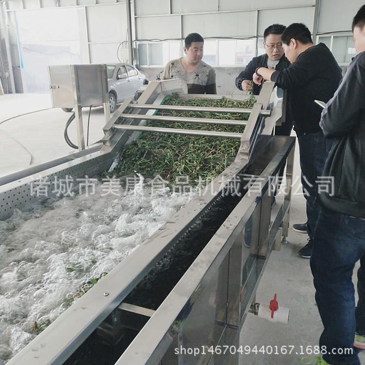 蒲公英专用清洗机  果蔬气泡清洗流水线 价格便宜实惠