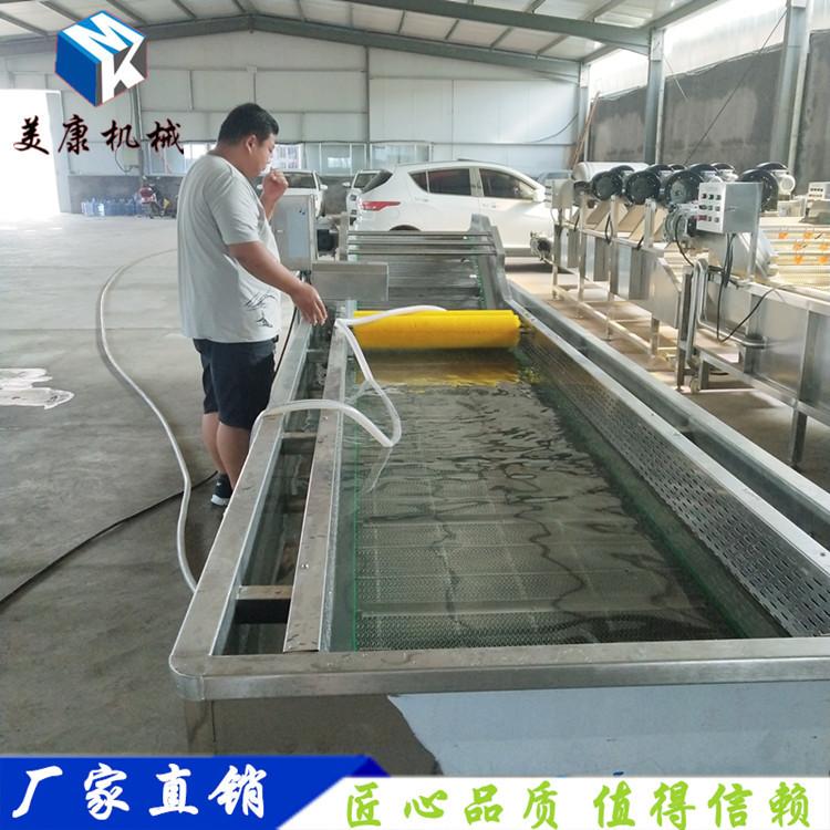 厂家热销芒果清洗机 水果气泡清洗机 净菜加工气泡清洗流水线设备