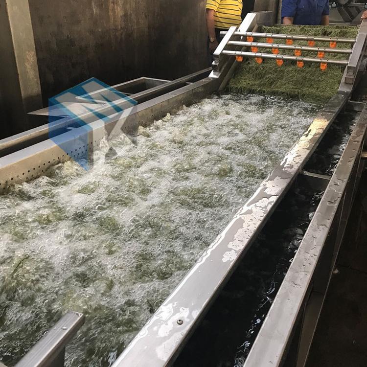 热销新款桑叶清洗机 果蔬气泡清洗机 净菜加工设备售后无忧