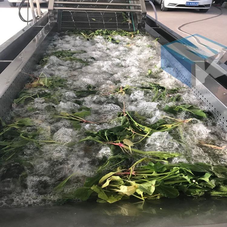 热销卷心菜气泡清洗机 净菜加工设备 果蔬清洗流水线美康生产