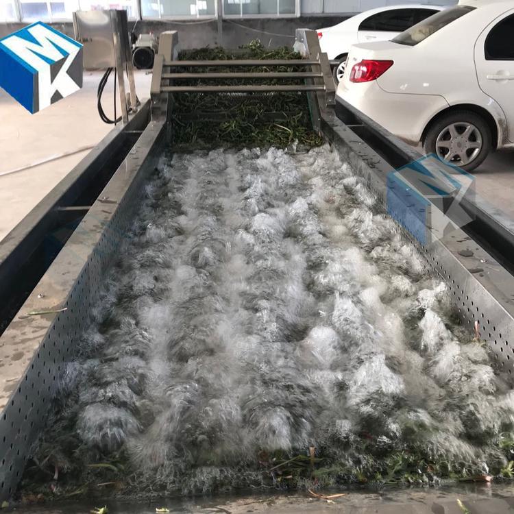 樱桃清洗机 果蔬气泡清洗机流水线 美康生产售后无忧