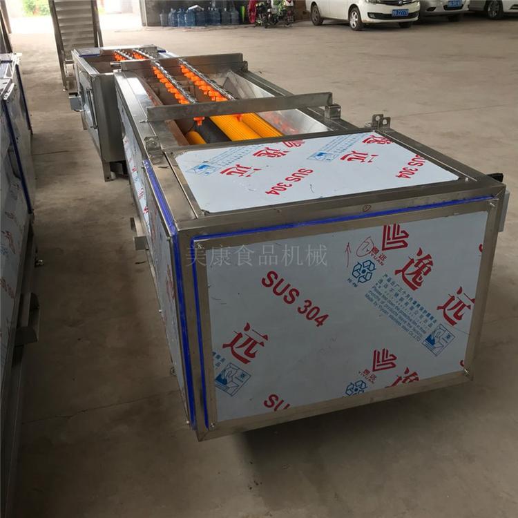 胡萝卜去泥清洗机 毛刷辊清洗机适用门头房小型食品厂用价格实惠