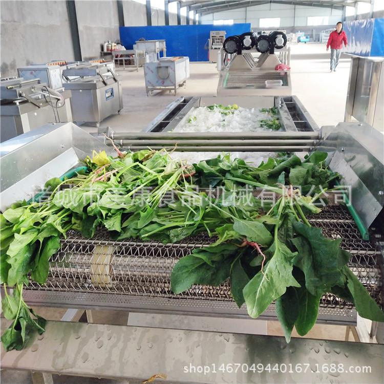定制黄花菜清洗机 黄花菜清洗风干流水线 多功能蔬菜清洗设备