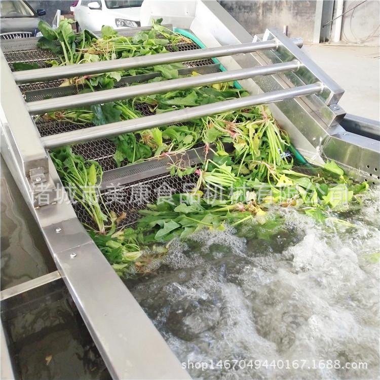 多功能蔬菜清洗机 气泡蔬菜清洗机 商用洗菜机
