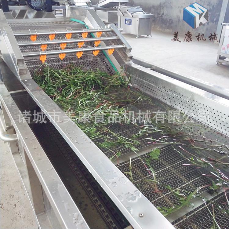 全自动气泡清洗机 大型蔬菜清洗机 不锈钢洗菜机