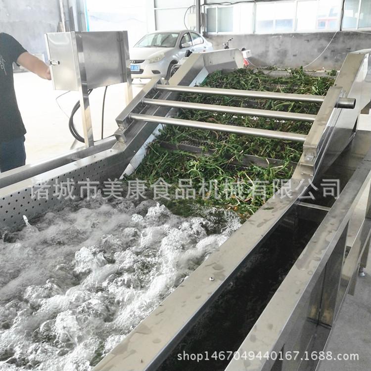 热销蒲公英茶清洗机 全自动中草药清洗机 气泡式清洗机厂家