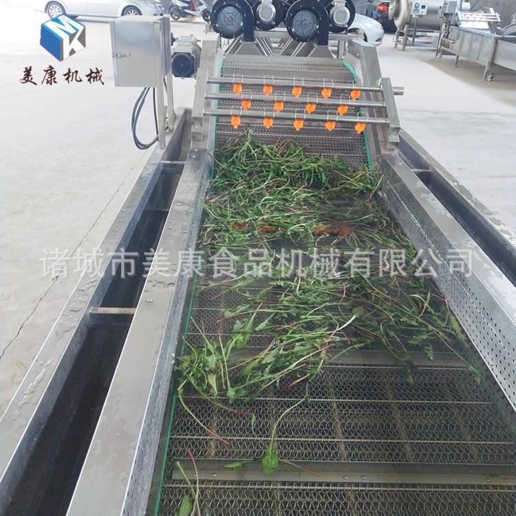 直销毛豆清洗机 全自动蔬菜清洗机 多功能蔬菜清洗机
