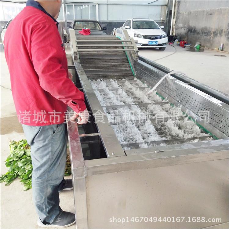 全自动腌渍菜清洗脱盐机 多功能气泡清洗机生产厂家