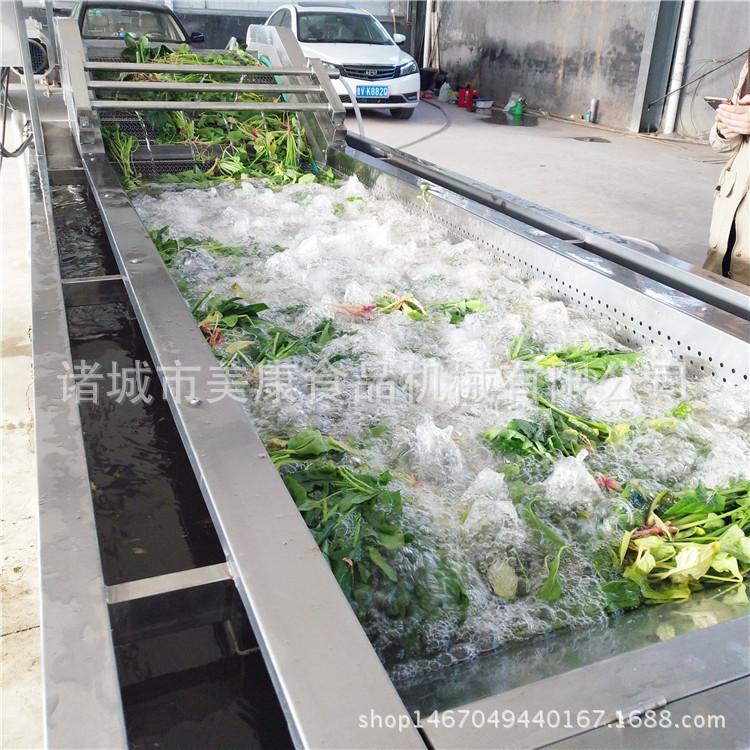 供应菜花清洗机 鼓泡式蔬菜清洗机 全自动商用洗菜机
