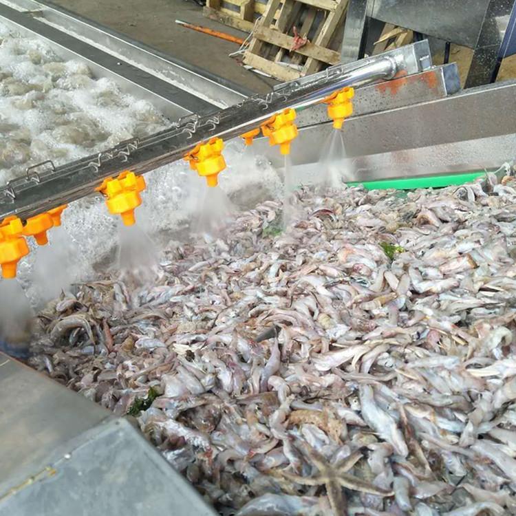 厂家定做海产品清洗机 多功能气泡清洗机 不锈钢海鲜清洗机