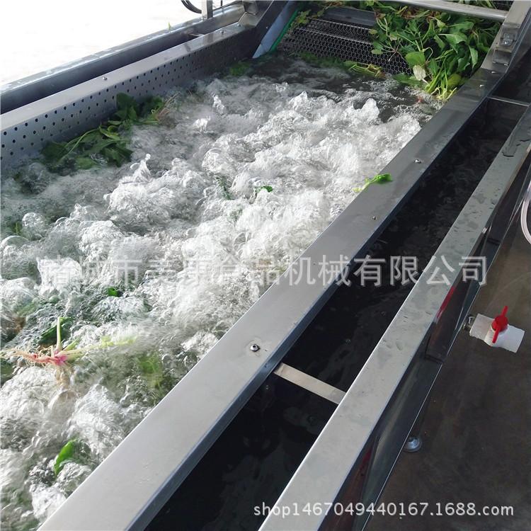 全自动洗菜机 大型商用气泡请洗机 多功能连续式净菜加工流水线