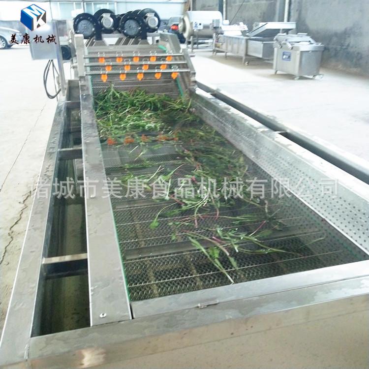 沙丁鱼气泡清洗机 海产品清洗设备 多功能清洗机厂价直销