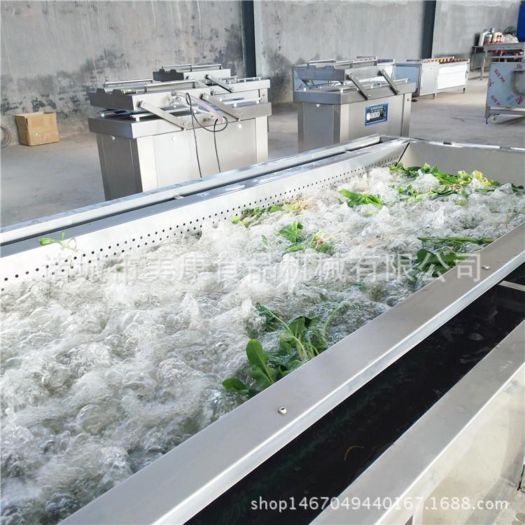 不锈钢香菜清洗机 气泡式蔬菜清洗机 净菜加工流水线