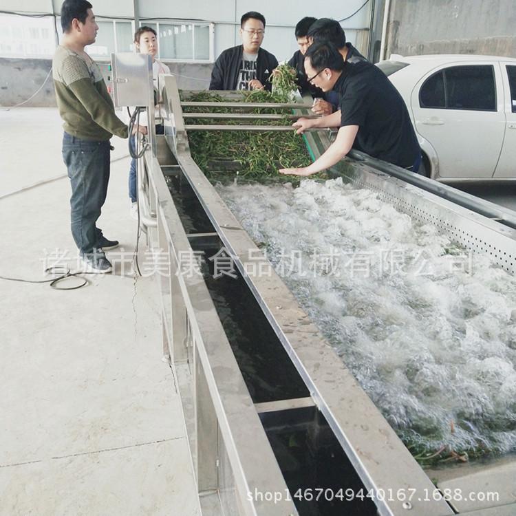 全自动山野菜清洗机 蔬菜气泡清洗机 叶类菜清洗机加工定做