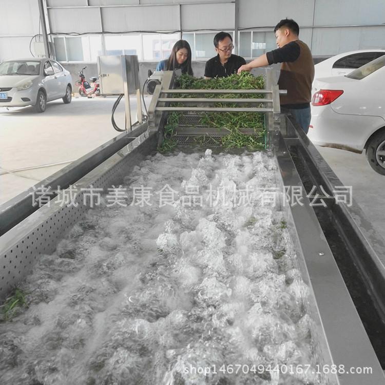 供应商用洗鱼机 带鱼气泡清洗机 多功能清洗机生产厂家
