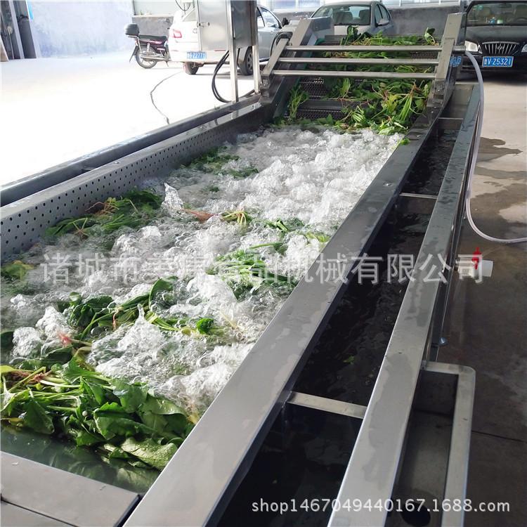 【厂家热销】全自动鼓浪型气泡清洗机 香菇清洗机 叶菜清洗机