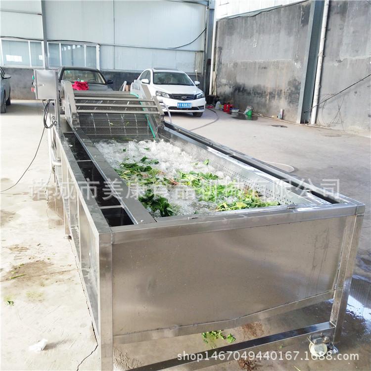 热销不锈钢茶树菇清洗机 蘑菇用气泡清洗机 多功能清洗机定做
