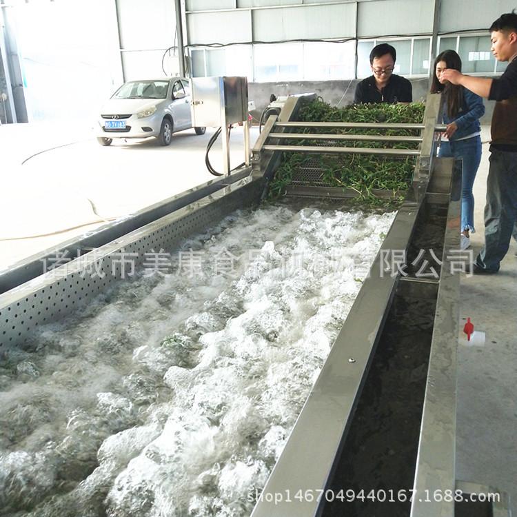 直供苹果气泡清洗机 果蔬气泡清洗机 果蔬清洗流水线
