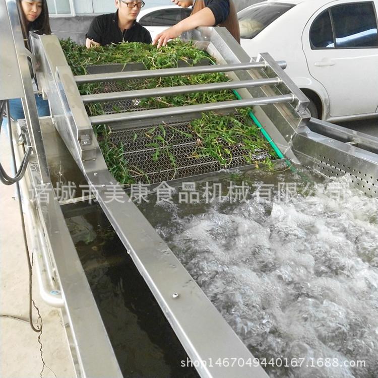 大型果蔬蔬菜清洗机 全自动气泡清洗机洗菜机 果蔬清洗机