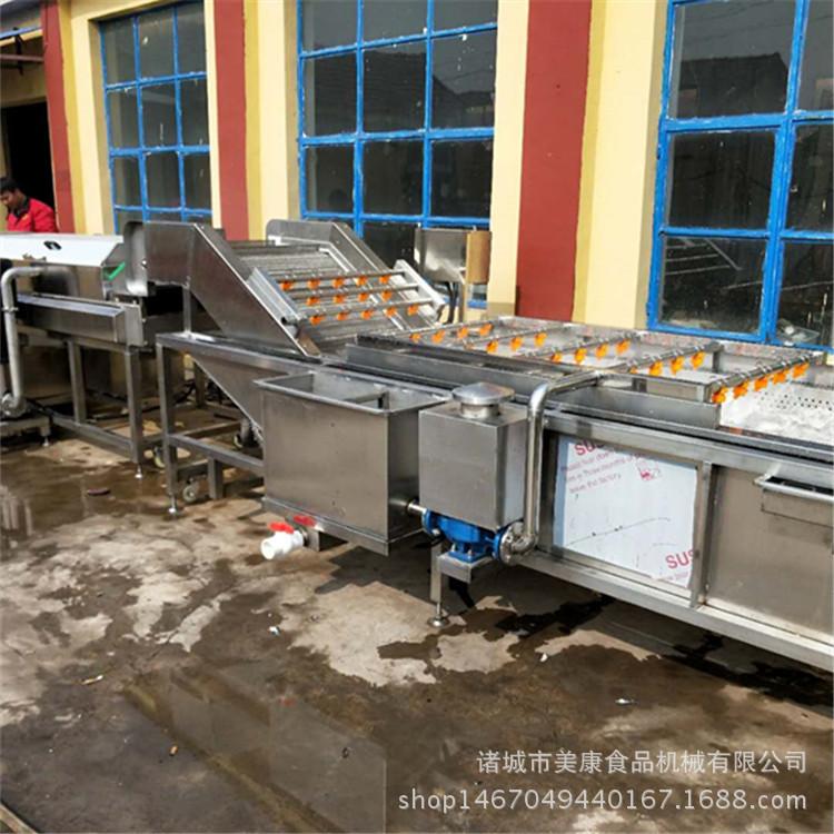不锈钢草莓清洗机 喷淋式气泡清洗机 多功能清洗机厂家直销
