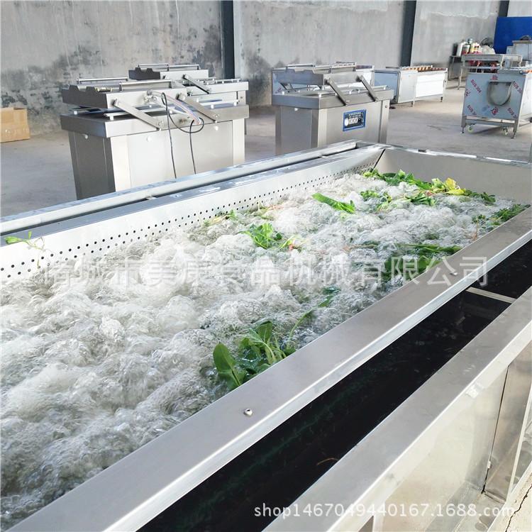 定做鼓泡式清洗机  蔬菜气泡清洗机 叶类蔬菜清洗加工流水线