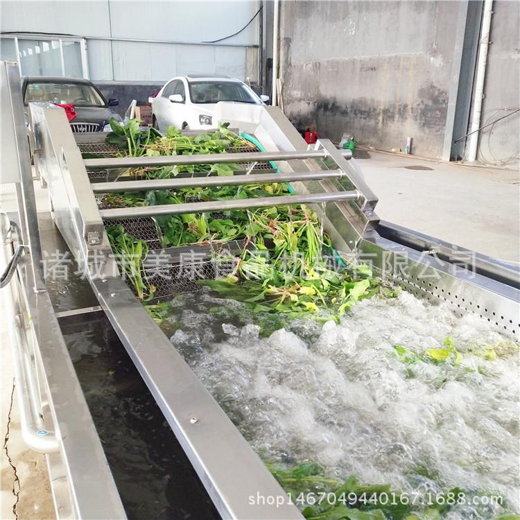 厂家出售山芹清洗机 多功能气泡清洗机 净菜加工流水线