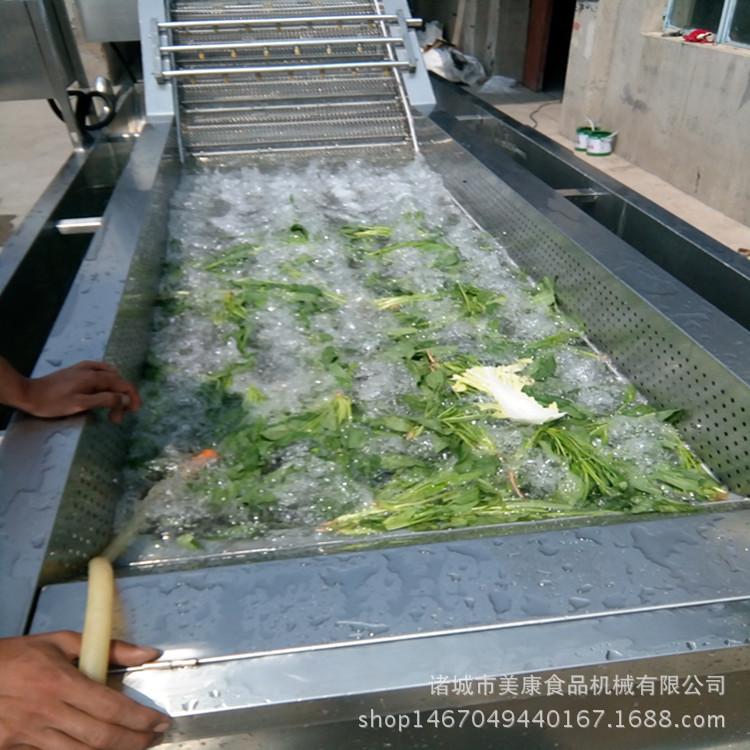 全自动白菜清洗机 气泡蔬菜清洗机 多功能洗菜机生产厂家