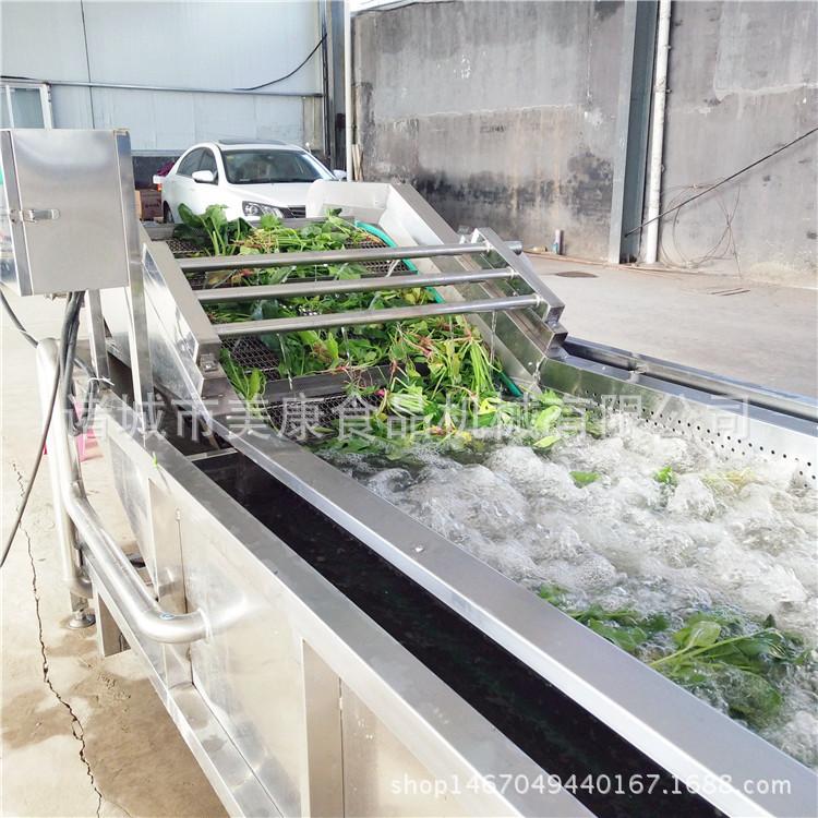 厂家直销蔬菜清洗机 气泡喷淋清洗机 大型商用洗菜机