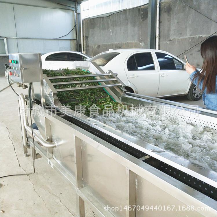 不锈钢中草药气泡清洗机 全自动连续式清洗机