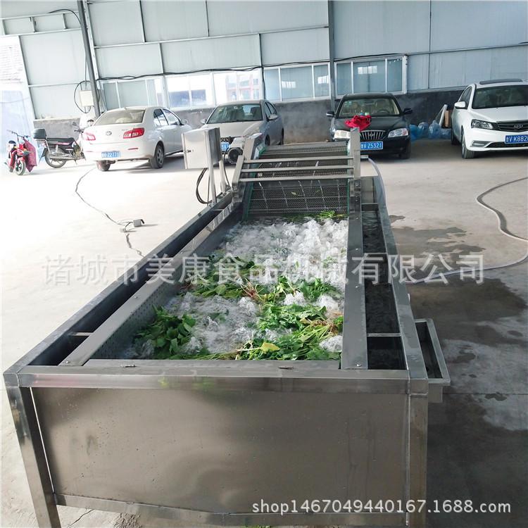 大型果蔬清洗机 全自动洗菜机 气泡式果蔬清洗机