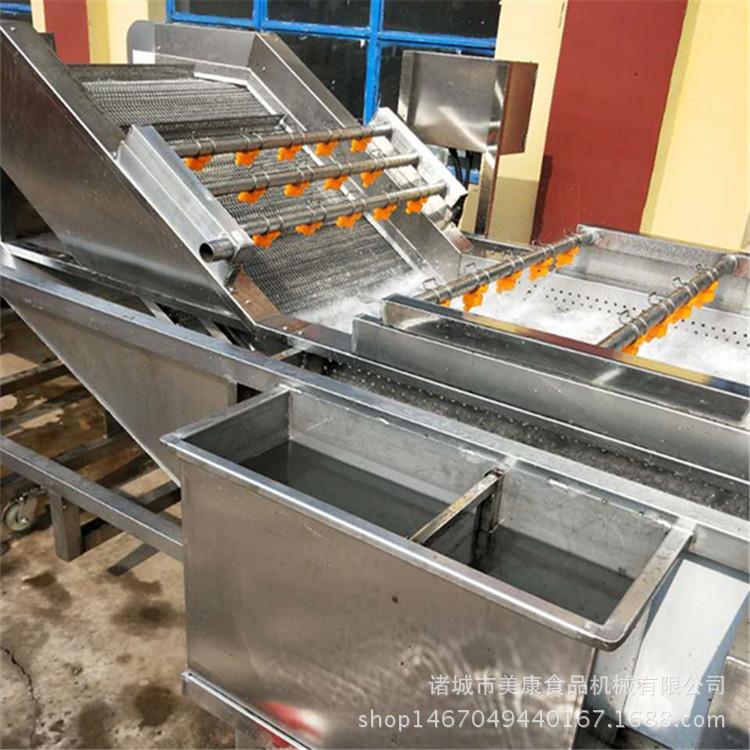 商用西红柿清洗机 不锈钢果蔬气泡清洗机 高压喷淋清洗机