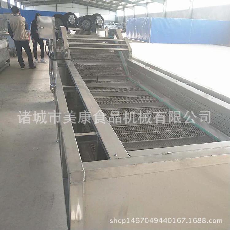 专供热销鲜辣椒专用清洗机 青椒清洗机 优质不锈钢定做