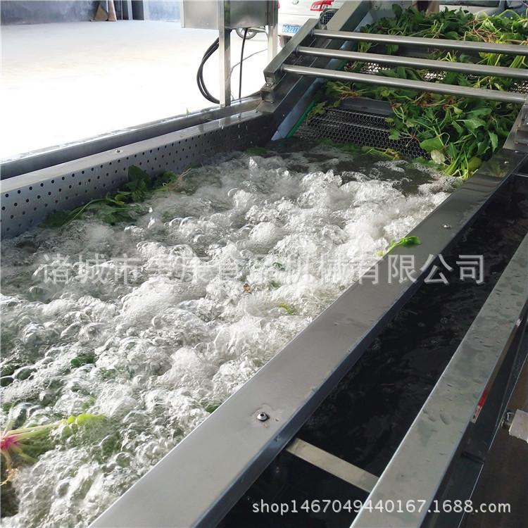 辣椒多功能清洗机 不锈钢清洗机 喷淋式清洗机厂家定制