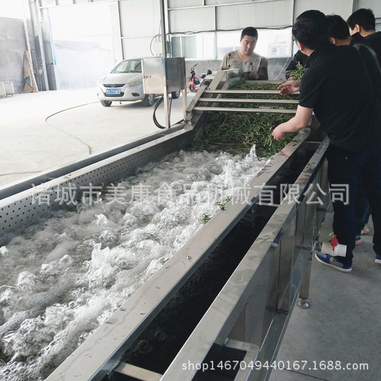 厂家定做 不锈钢气泡清洗机 果蔬清洗机 质优价廉