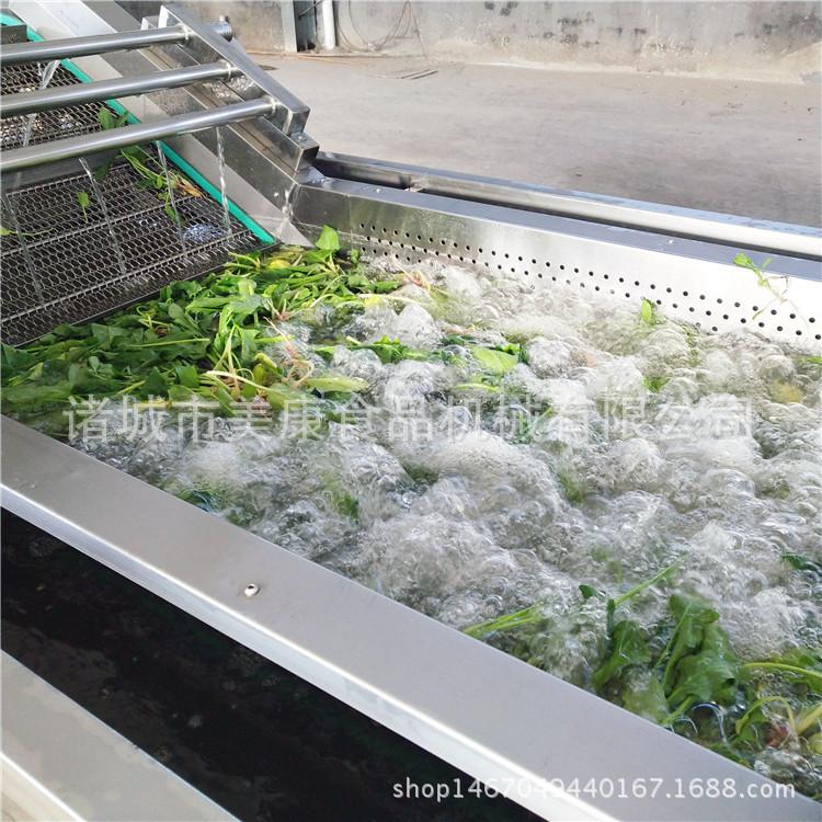 供应大豆清洗机 豆类清洗机 全优质不锈钢材质洗豆机