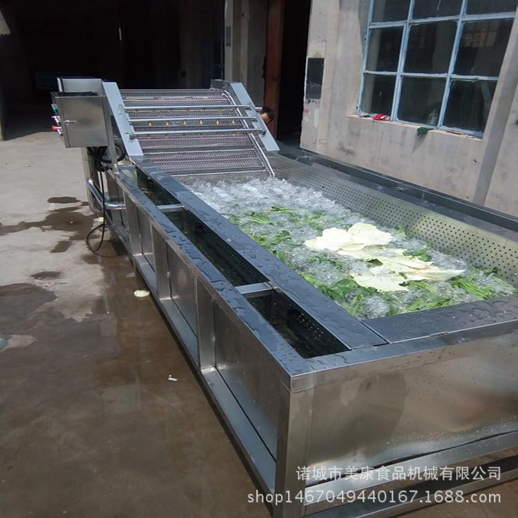 青椒气泡清洗机生产厂家 辣椒多功能清洗机厂家定做直销