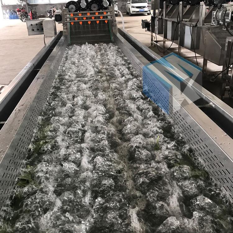厂家定做芭乐清洗机 不锈钢水果清洗机 多功能果蔬加工清洗流水线