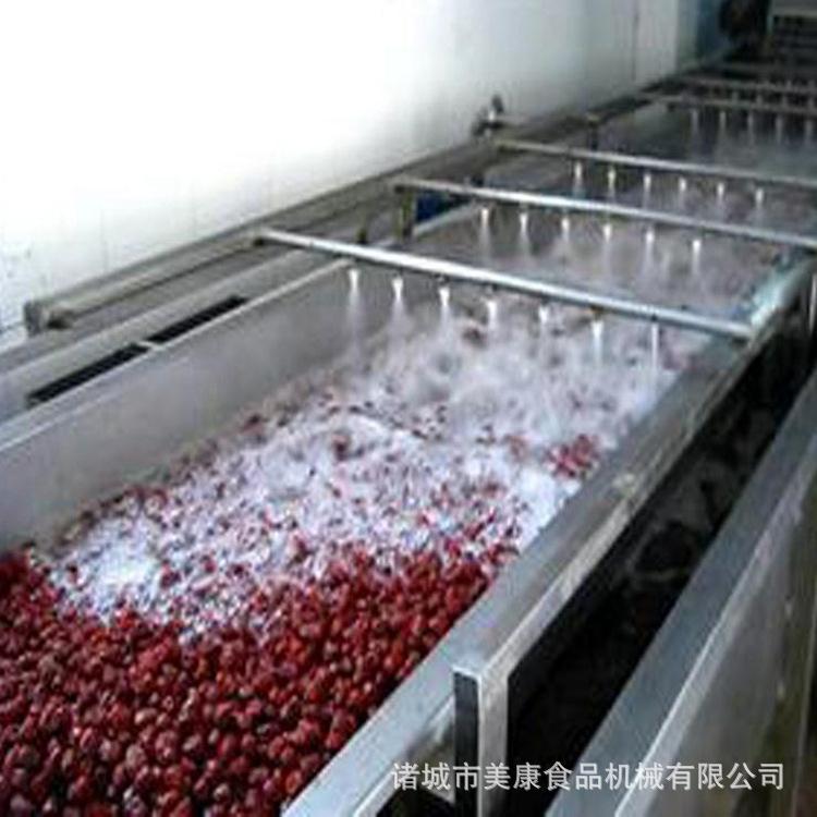 厂价直供大枣生产线 大枣气泡清洗机 果蔬清洗设备 环保材质制作