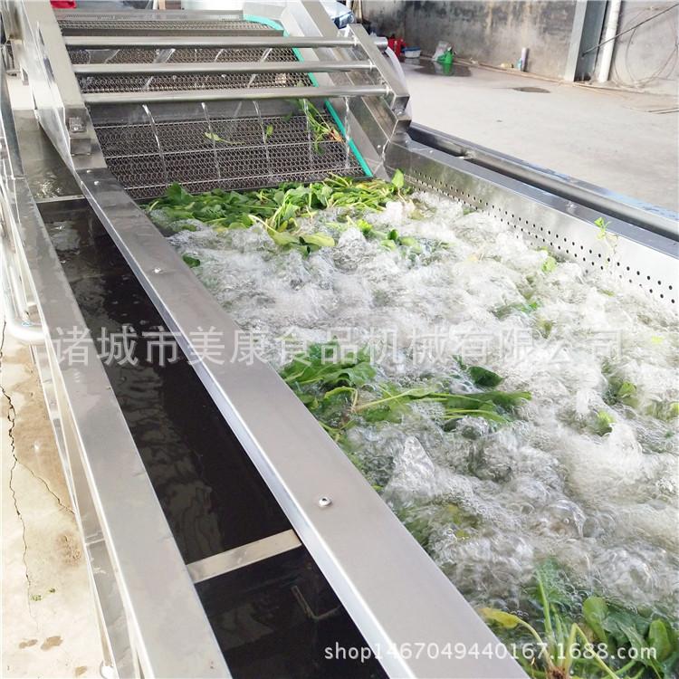 专业生产油菜清洗机  多功能气泡清洗机 优品低价