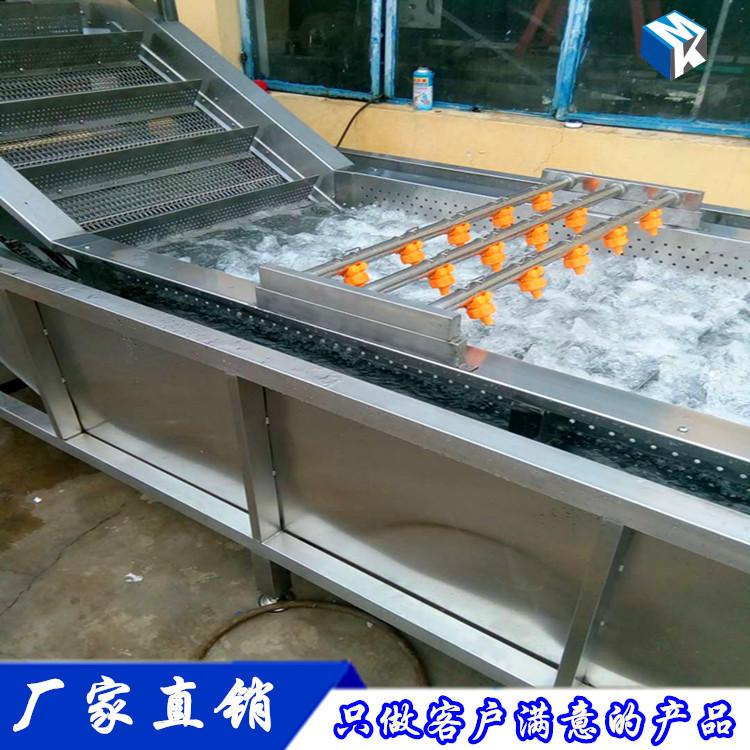 叶类菜清洗机 蔬菜气泡清洗机 多功能清洗机定做